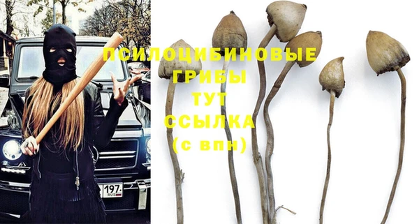 экстази Алексеевка